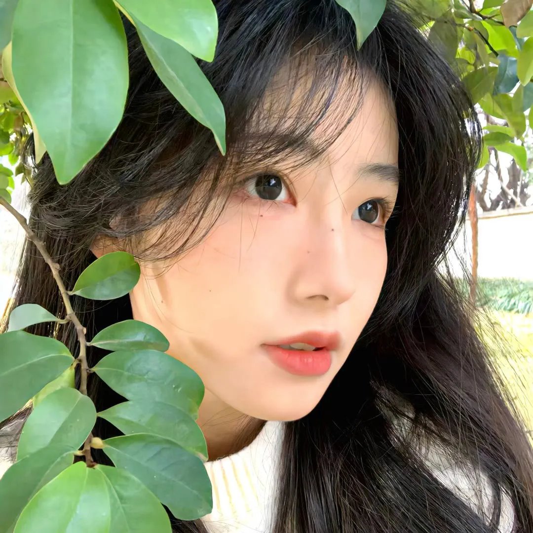 十条命